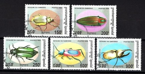 Animaux insectes cambodge - animaux,